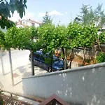 Artusi * Pula