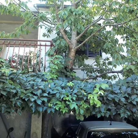 Apartment Artusi