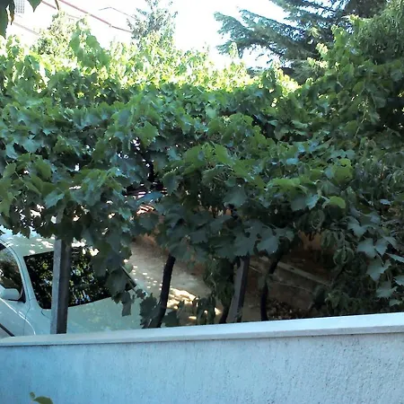 Artusi Apartment