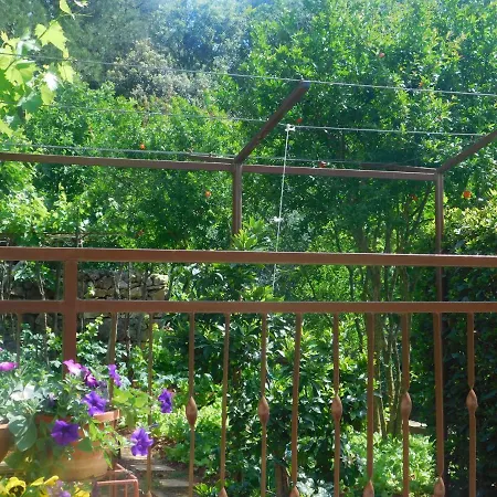 Artusi Apartmán Pula