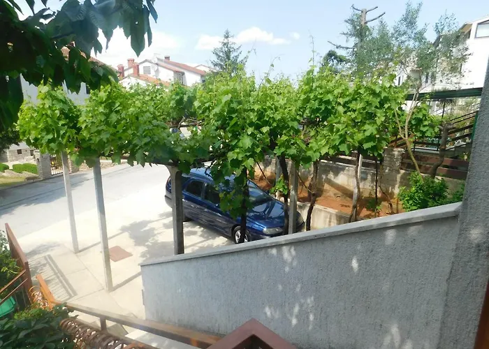 Artusi * Πούλα
