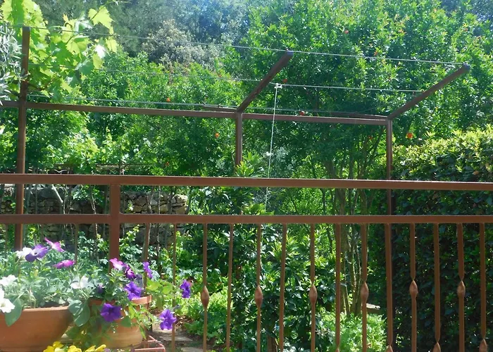 Artusi Apartman Póla