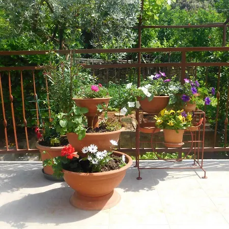 Artusi Apartment Pula