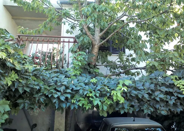 Appartamento Artusi