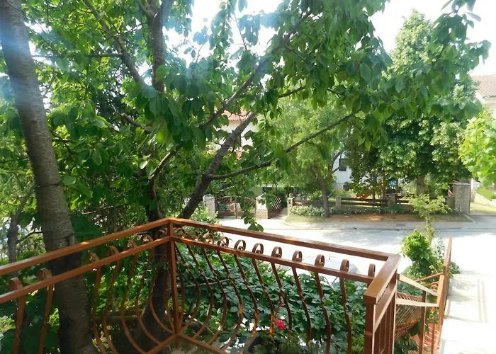 Artusi * Pola