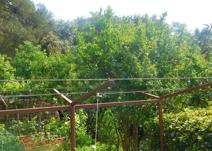 Artusi Apartmán Pula