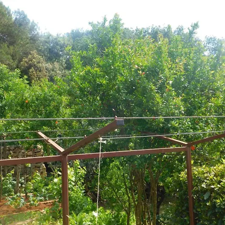 Artusi Apartament Pula